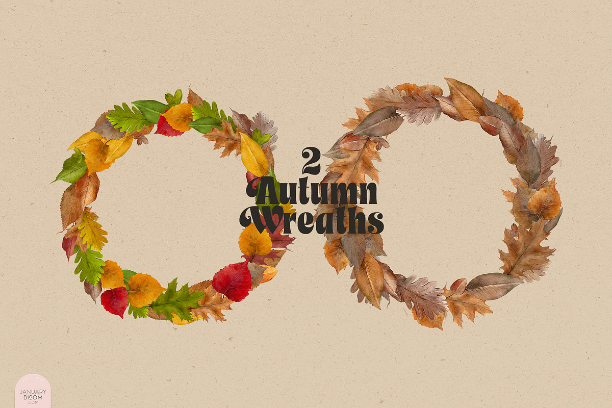 Autumn Leaves - Watercolor Fall, an Illustration by January Bloom (Photo 3 of 3)