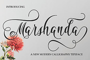 BIG BUNDLE FON SCRIPT, a Font by Jhoen (Thumbnail 2 of 19)