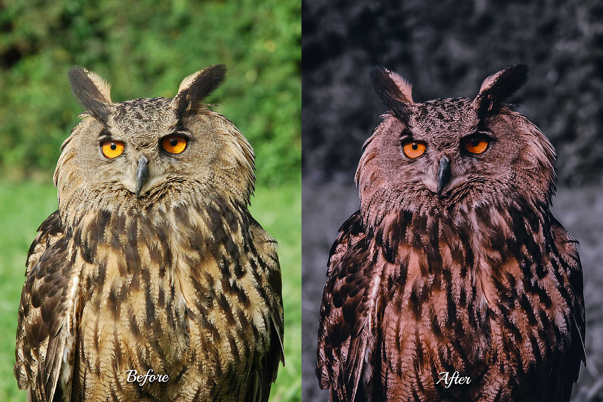 30 Nightmare Lightroom Collection, a Preset Add-On by 3Motional (Photo 8 of 11)