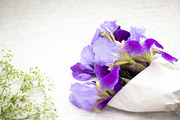 Purple Iris Styled Stock Collection, a Photo by Chalking Up Stock (Thumbnail 13 of 19)