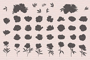 Bundle. Mushrooms, Crystals, Peony., a Brush Add-On by NinaFedorova (Thumbnail 14 of 20)
