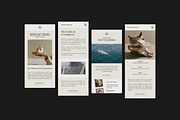 Editorial Newsletter Templates, an Email Template by Wildnun Studio (Thumbnail 13 of 18)