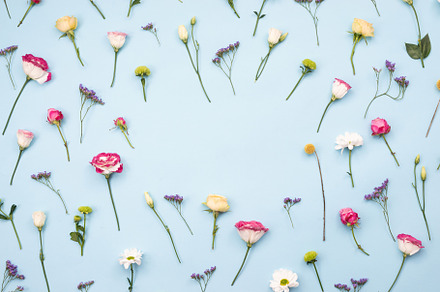 Multicolored flowers laid out, a Nature Photo by SvyatStudio