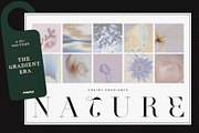15 in 1: THE GRADIENT ERA, a Background Graphic by Purple (Thumbnail 16 of 16)