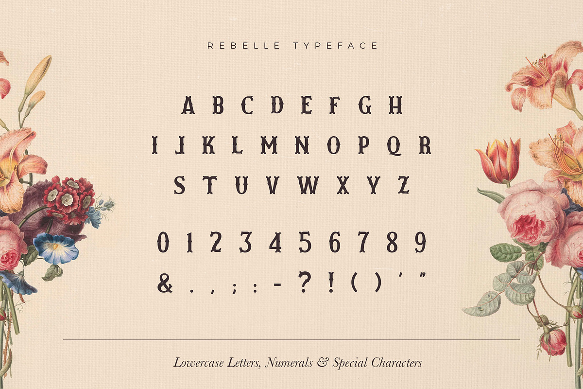 Les Liaisons Dangereuses Font Duo, a Slab Serif Font by Aurelie Maron (Photo 5 of 9)