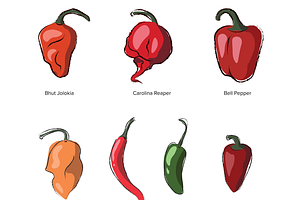 Chili Pepper Vector Sketch