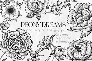 Peonies Line Art Collection