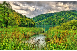 View of the plitvice lakes national featuring croatia, lake, and nature, a Nature Photo by Leonid Andronov