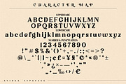 Avigea Modern Serif Font Display, a Script Font by Storytype Studio (Thumbnail 8 of 10)