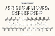 Verlane - Serif Modern Font, a Serif Font by Flawless And Co (Thumbnail 9 of 10)