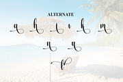 Vacation | Script Font, a Handwritten Font by Scratchones (Thumbnail 8 of 9)