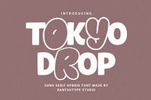Tokyo Drop Hybrid Sans Serif Font