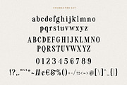 Magic Seventies Font, a Serif Font by HansCo Studio (Thumbnail 9 of 12)