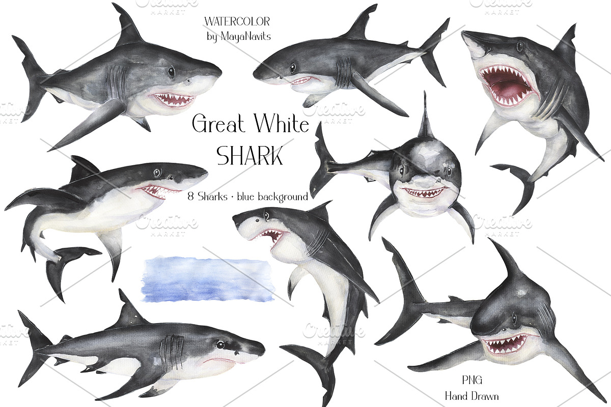 Watercolor Great White Sharks Set, an Animal Illustration by MayaNavits (Photo 3 of 7)