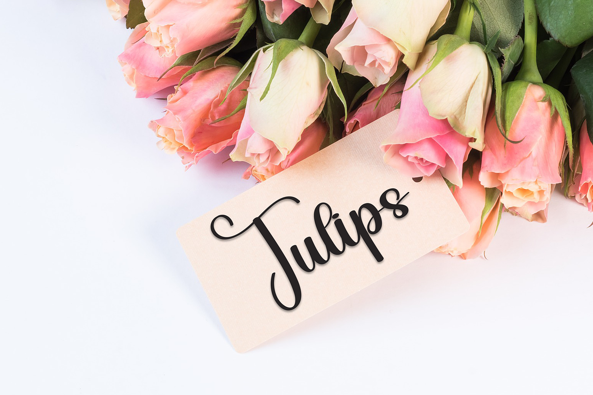 Vegetable | Script Font, a Handwritten Font by Scratchones (Photo 4 of 9)