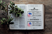 Sapiens Font Family, a Sans Serif Font by Hemphill Co (Thumbnail 7 of 13)