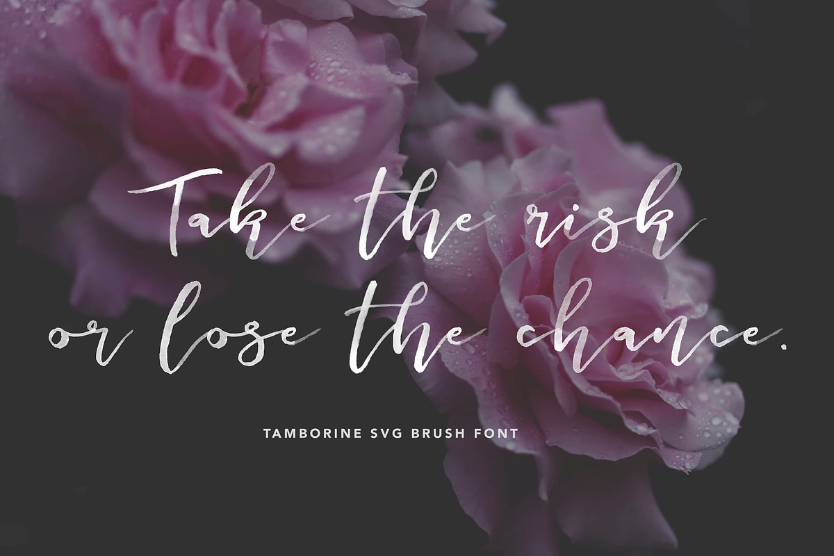 Tamborine SVG + Solid Font preview 4