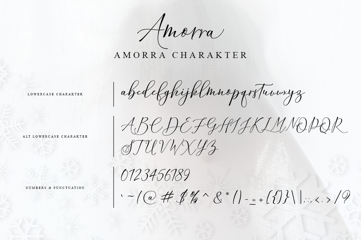 Amorra Script, a Script Font by Zane Studio (Photo 10 of 10)