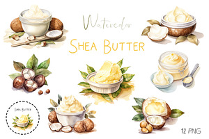 Watercolor Shea nuts plant, berry