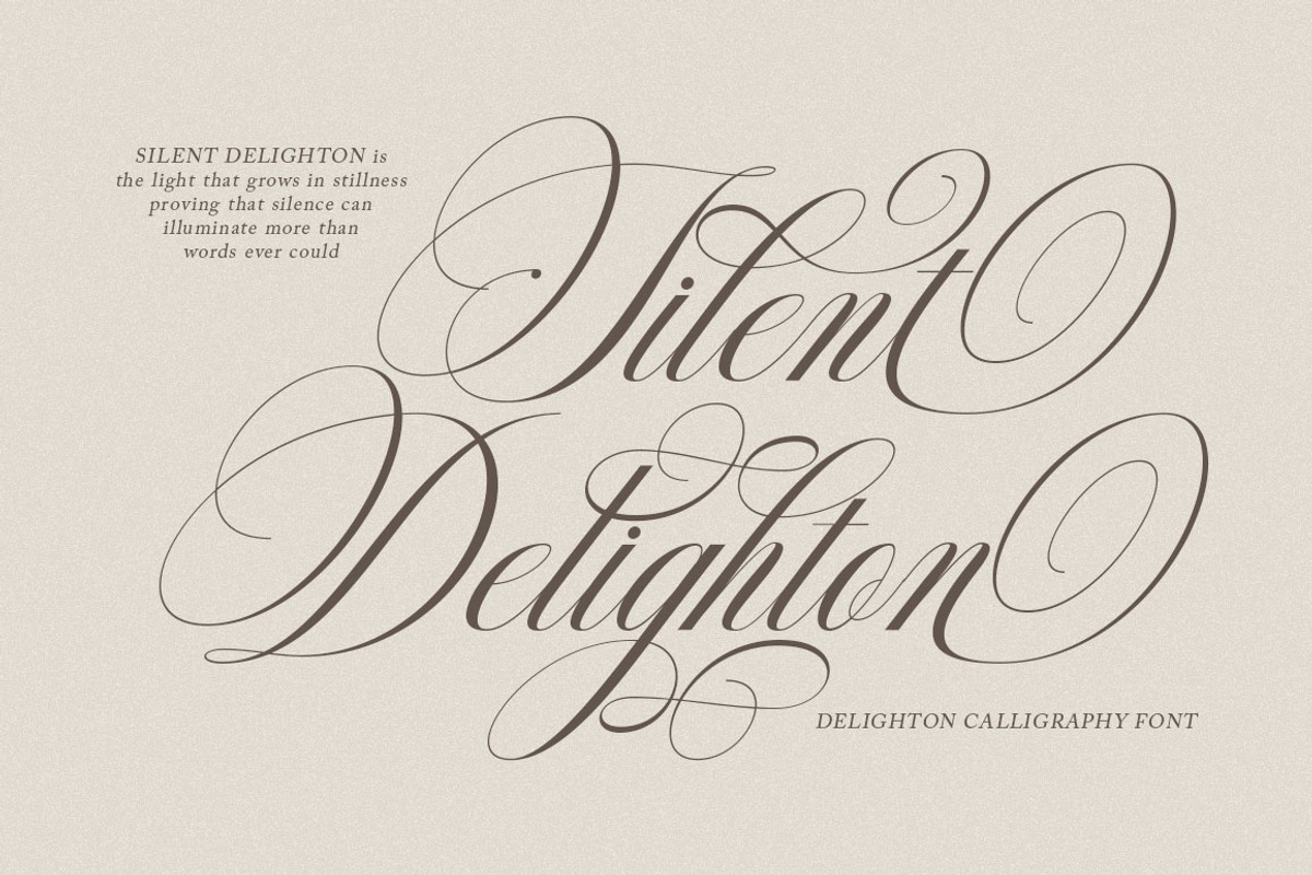 Delighton Script, a Script Font by Has_rizal (Photo 9 of 15)