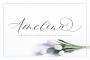 Amelina Script New Update Font Duo, a Script Font by Areatype (Thumbnail 9 of 9)