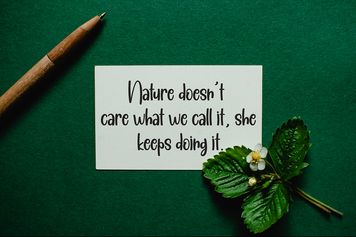 Halloween School | Script Font, a Handwritten Font by Scratchones (Photo 4 of 8)
