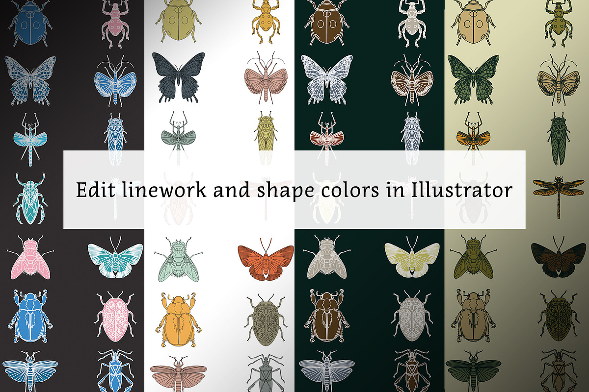 Vector Insect Icons, an Outline Icon by The Curio Cabinet (Photo 3 of 3)