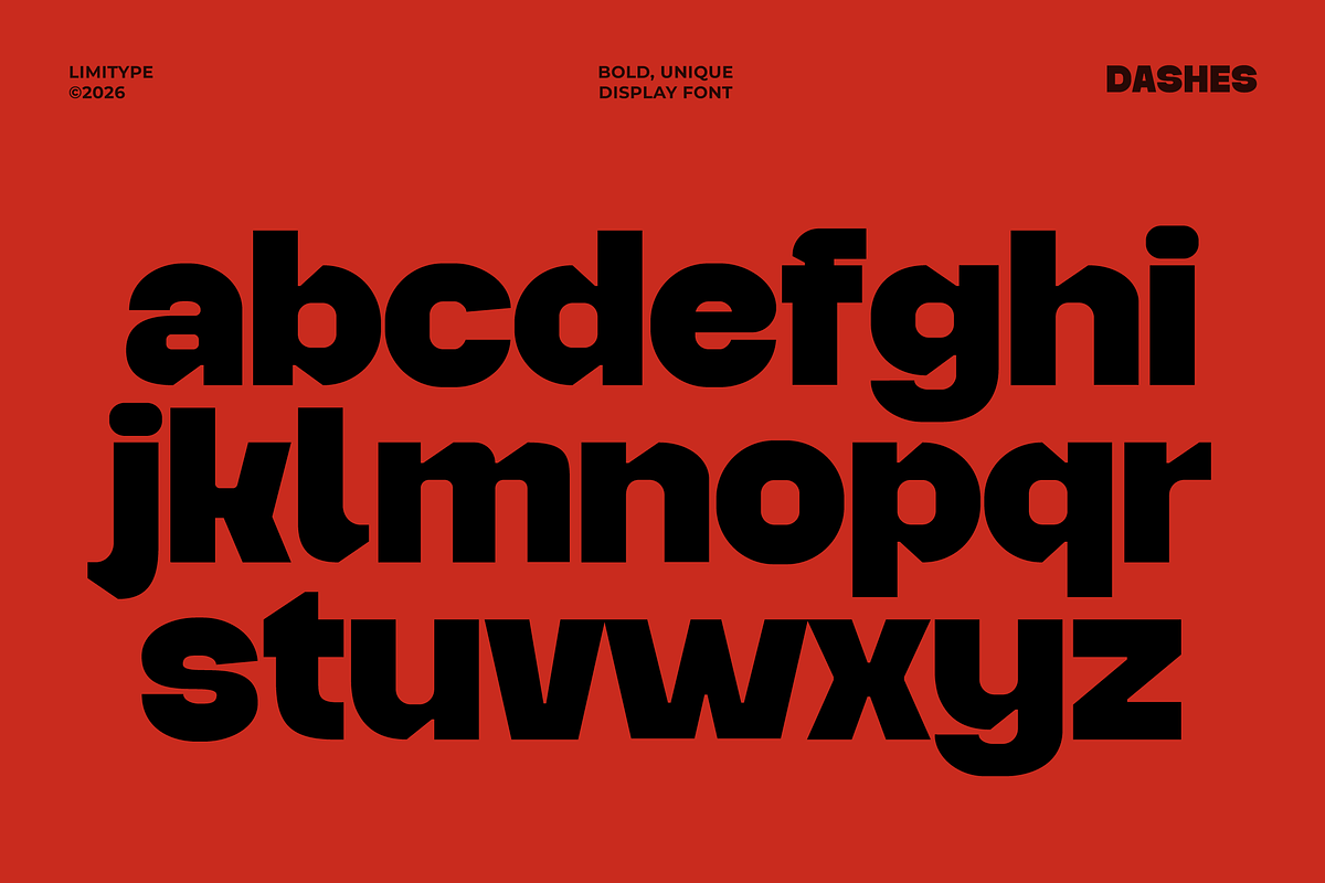 Dashes - Bold Font, a Sans Serif Font by limitype (Photo 8 of 12)