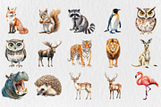 Watercolor Wildlife Nature Animals, an Animal Illustration by Rose Art (Thumbnail 2 of 4)