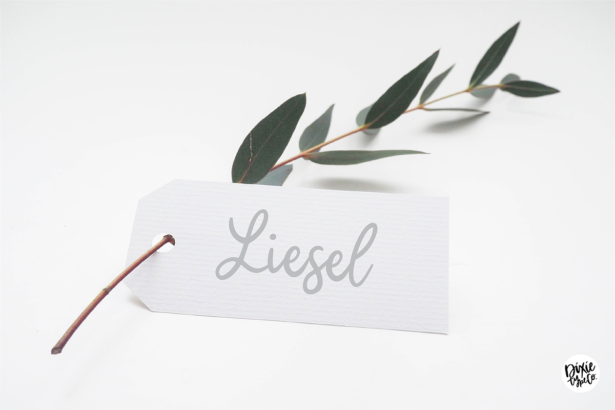 BLYTHE Hand Lettered Script Font, a Script Font by Blush Font Co.