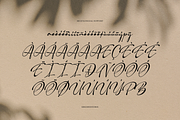 Flentha Bellyora Casual Script Font, a Script Font by Denustudios (Thumbnail 13 of 13)