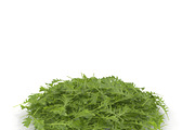 Arugula PS, an Environmental 3D Model by AndrewWhite (Thumbnail 3 of 7)