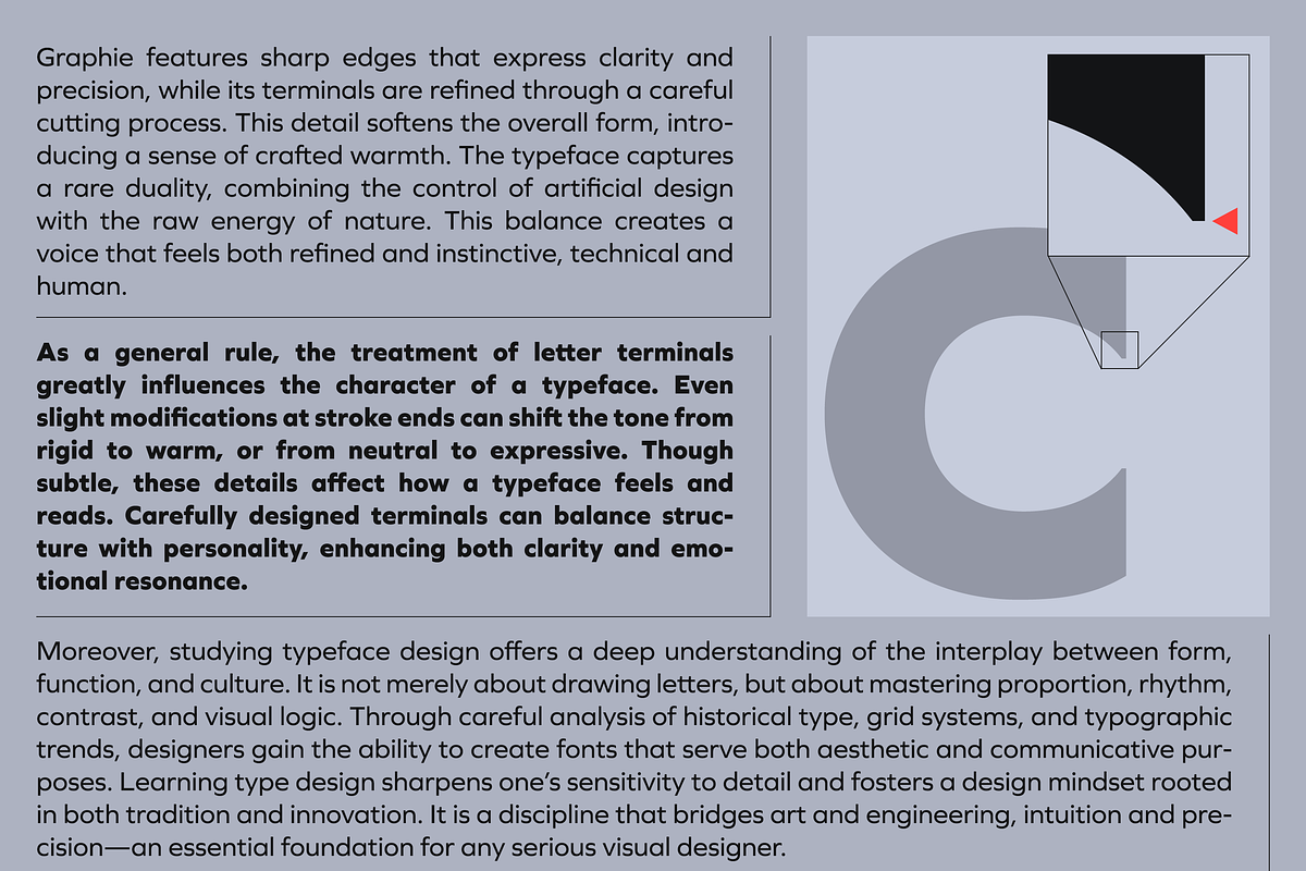 Graphie, a Sans Serif Font by Dharma Type (Photo 9 of 10)
