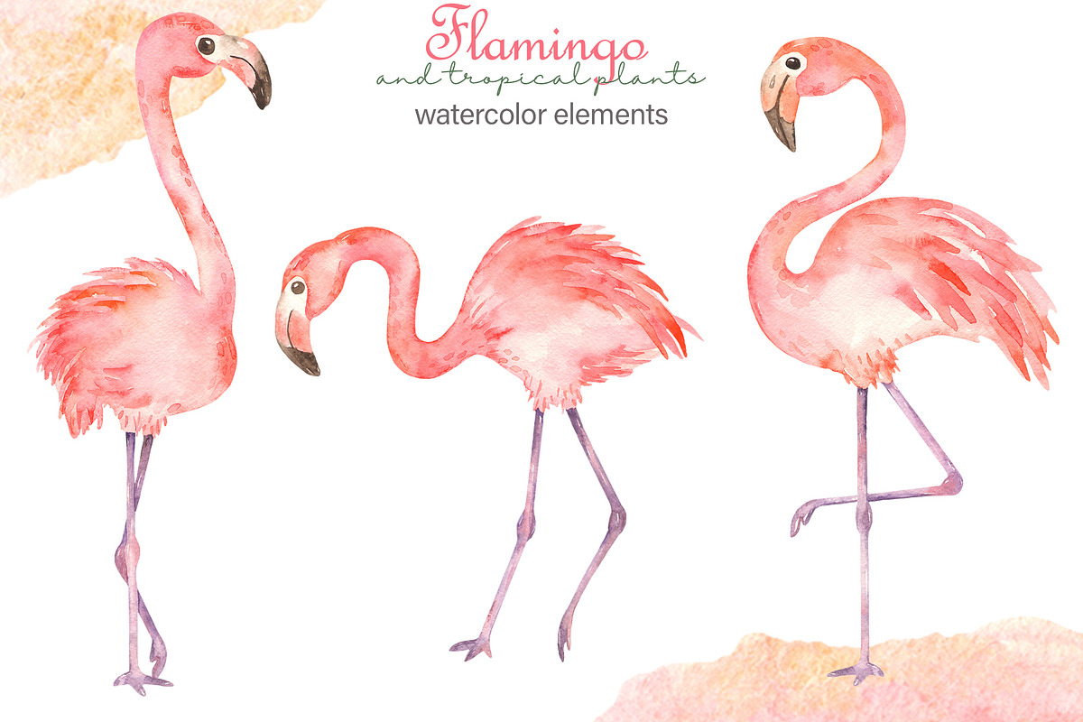 Flamingos and tropics Watercolor, an Illustration by Marina Ermakova (Photo 3 of 13)