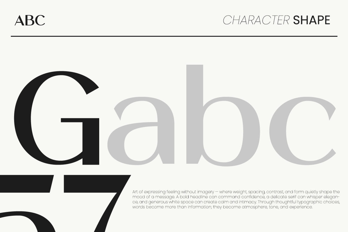 Valentra Modern Editorial Sans Font, a Sans Serif Font by Vadovastd (Photo 7 of 10)