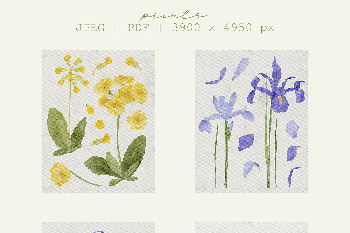 Spring Garden Illustration & Pattern, a Decorative Illustration by OkPen (Photo 7 of 10)