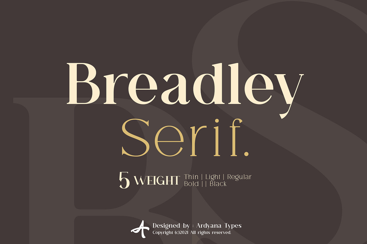 Breadley Serif, a Serif Font by Ardyanatypes (Photo 1 of 12)