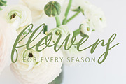 Falling Pumpkins Script Font, a Script Font by Creativeqube Design (Thumbnail 5 of 5)