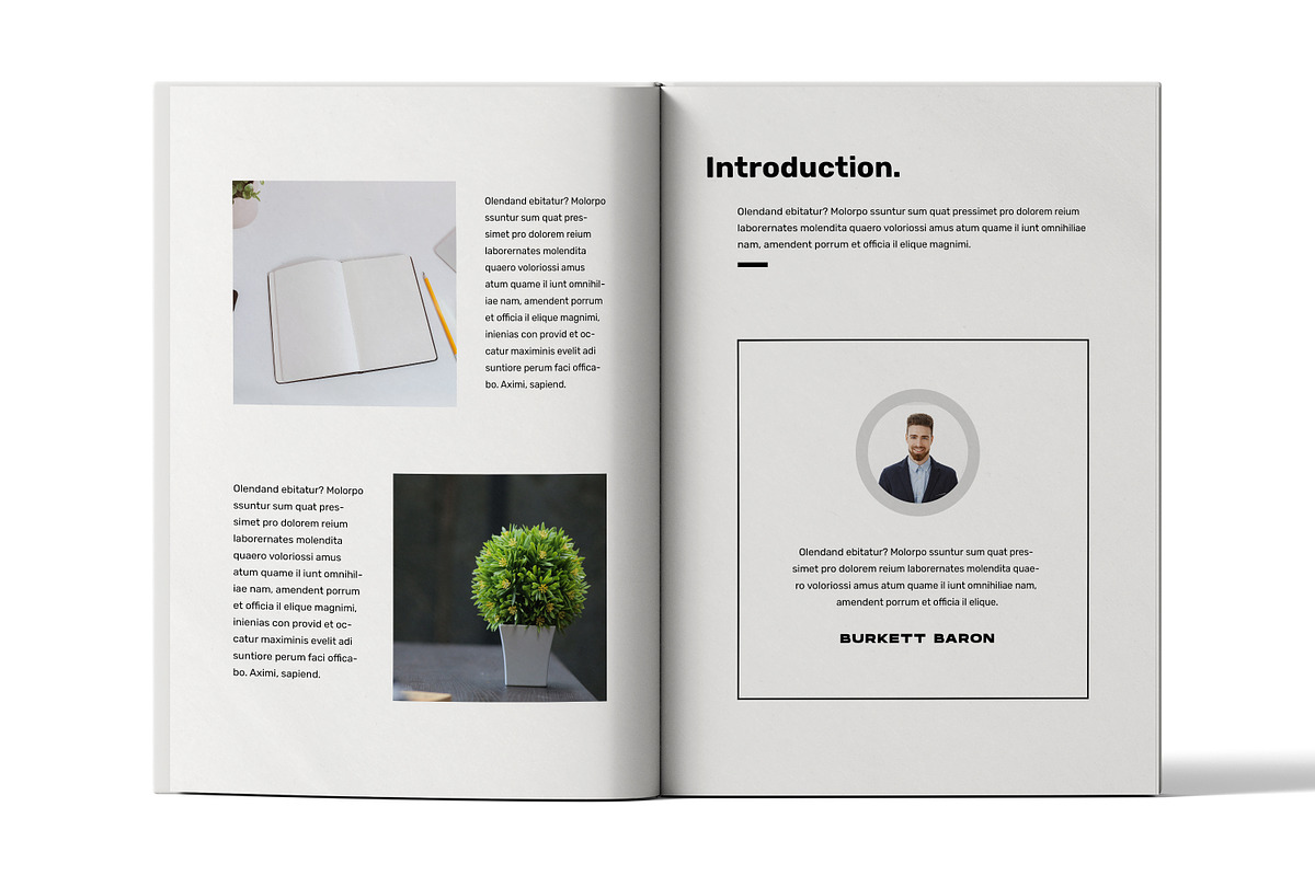 Creative Portfolio, a Brochure Template by FlyeredTemplate (Photo 2 of 11)