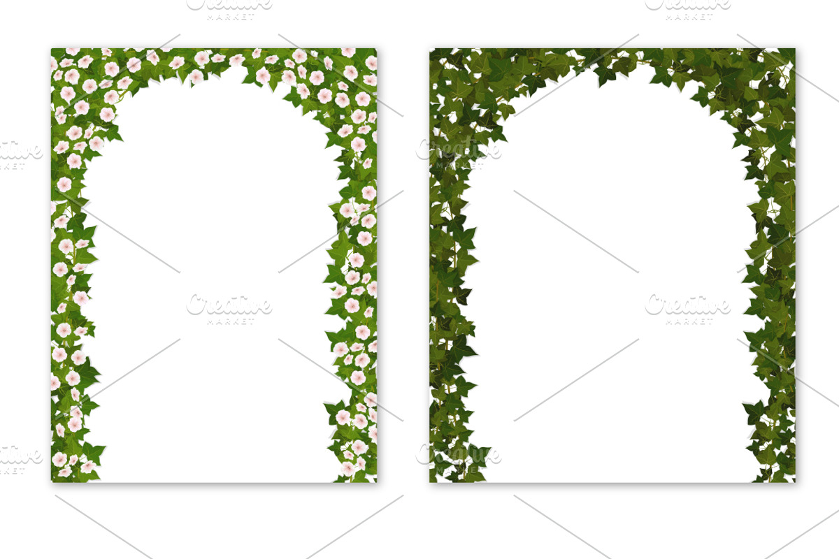 Ivy vector set for floral design, a Decorative Illustration by belander (Photo 4 of 4)