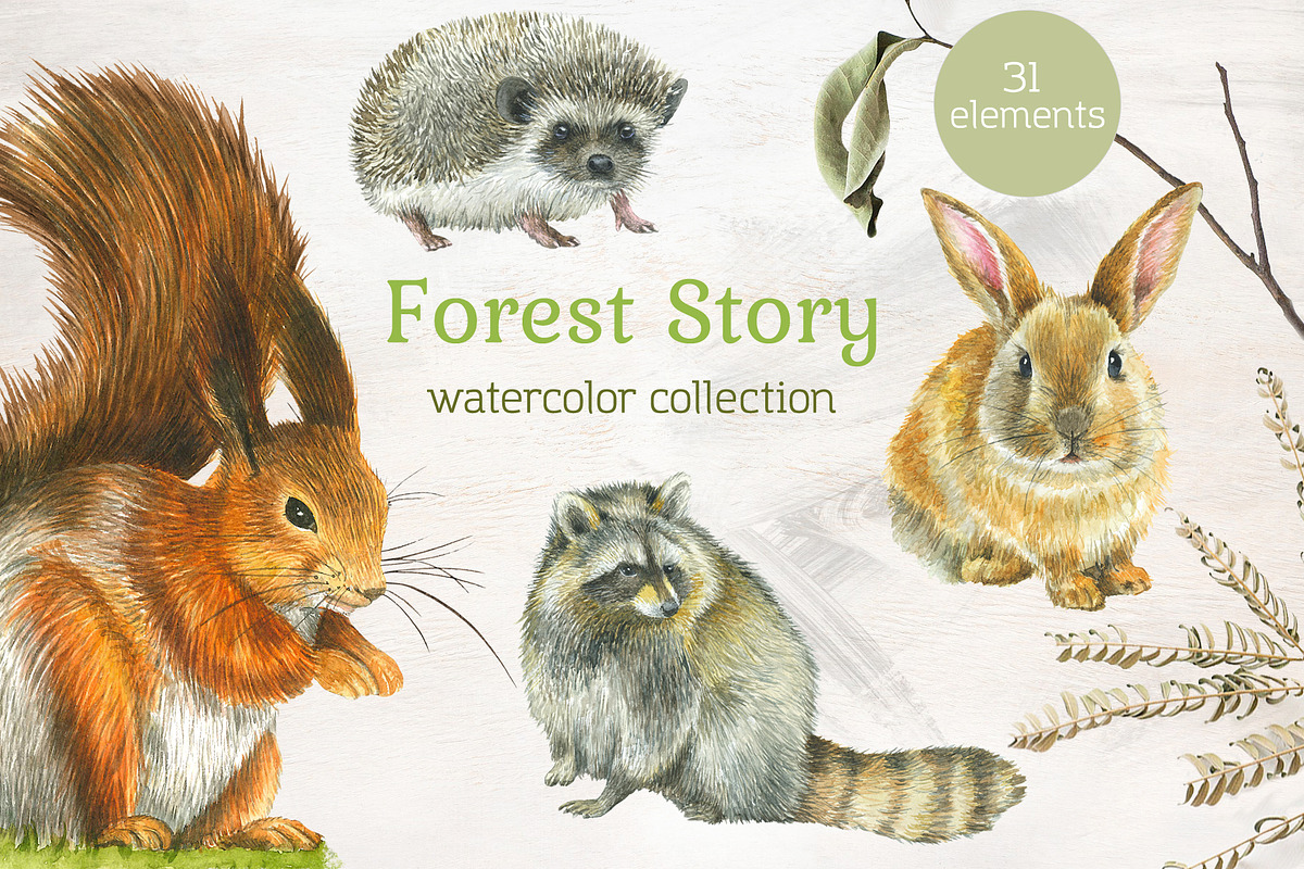 Forest Story Watercolor Collection, an Animal Illustration by Nastilustra (Photo 1 of 8)