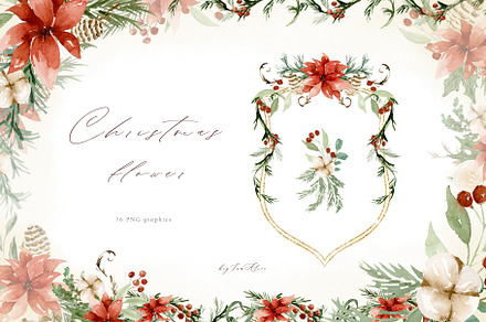 Christmas Flower, an Illustration by heyiamalice