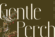 CS Catrine – Modern Sans Serif Font, a Sans Serif Font by Craft Supply Co. (Thumbnail 6 of 8)