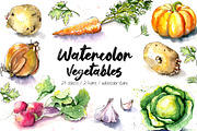 Watercolor vegetables, a Food Illustration by iri-illustration (Thumbnail 1 of 12)