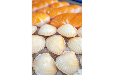 Fresh seafood display with scallops, a Food & Drink Photo by Lermont51