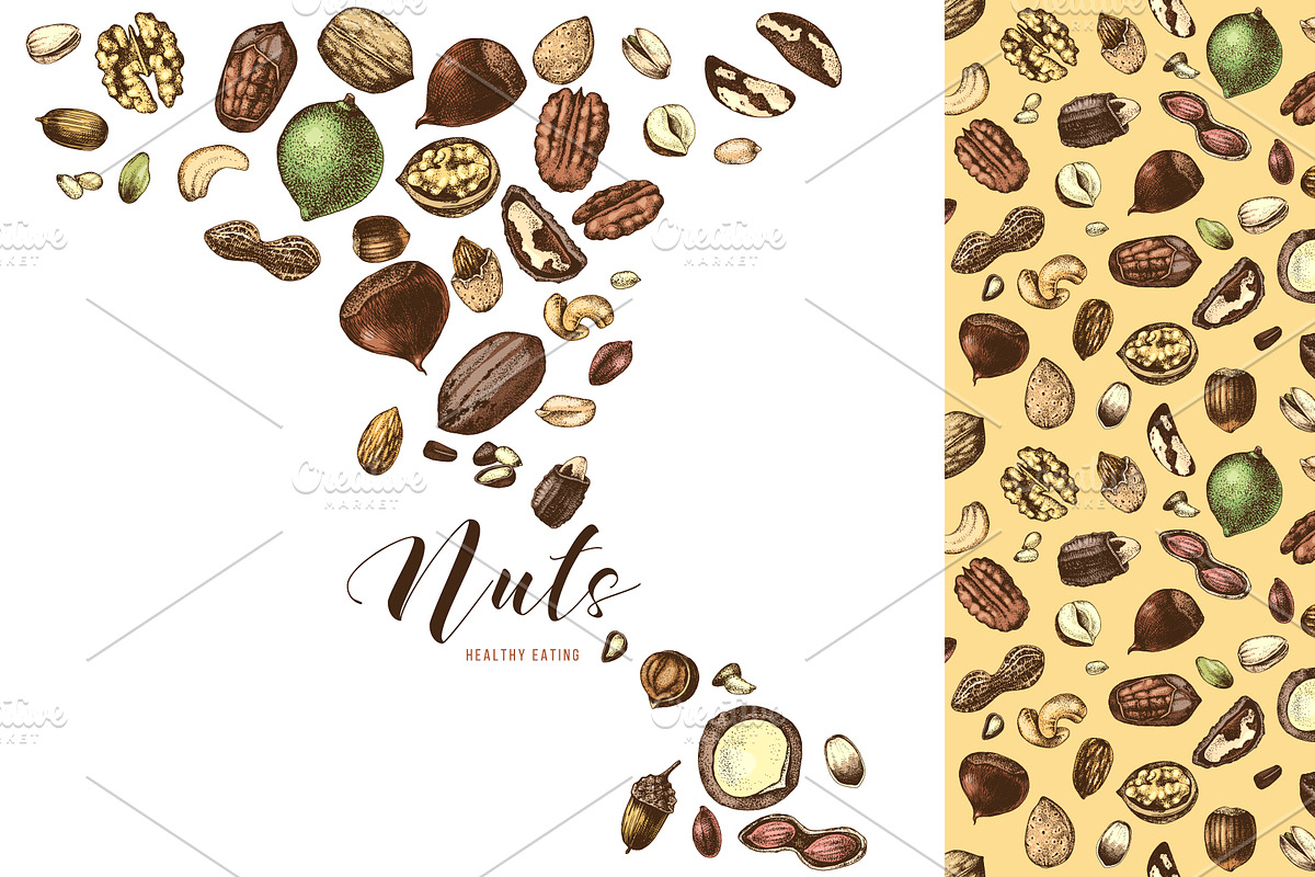 Hard nut graphic design set, a Food Illustration by handsketched (Photo 11 of 18)