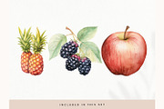 Watercolor Fruit Clipart, Fresh PNG, a Decorative Illustration by illuztrate (Thumbnail 3 of 13)