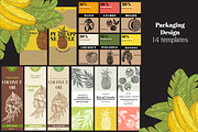 Tropical fruits collection, a Decorative Illustration by TashaDraw (Thumbnail 8 of 10)
