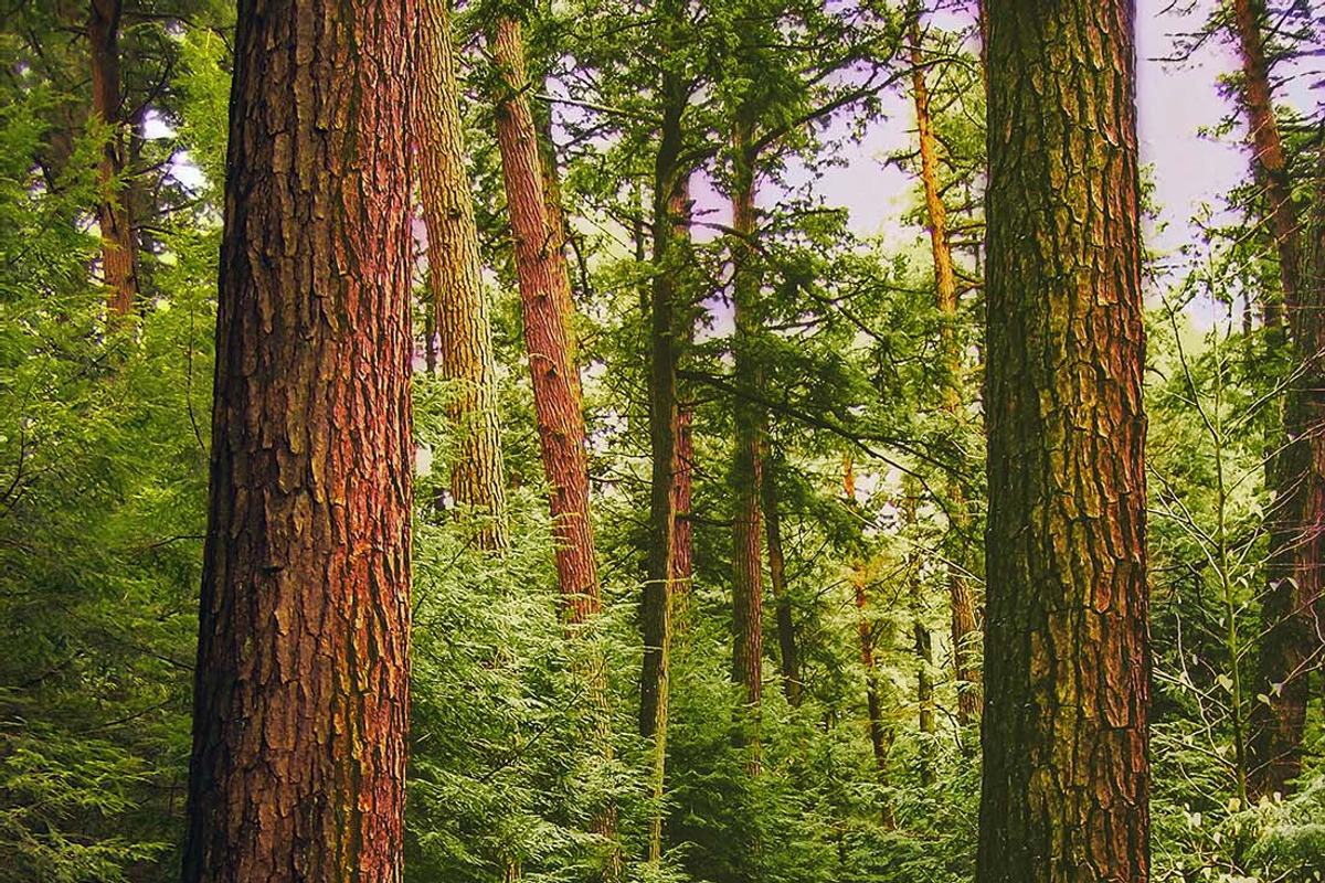 10 Stunning Matte Landscape Presets, a Preset Add-On by Timeless Presets (Photo 4 of 13)