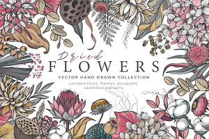 Dried Flowers Vector Collection, a Decorative Illustration by Molly art